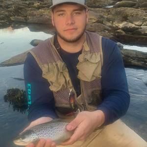 Meet your Posher, Dakota